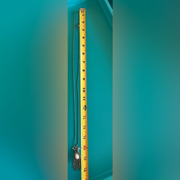 Banana Republic Sparkling Silver Necklace with Tassels - Picture 10 of 10